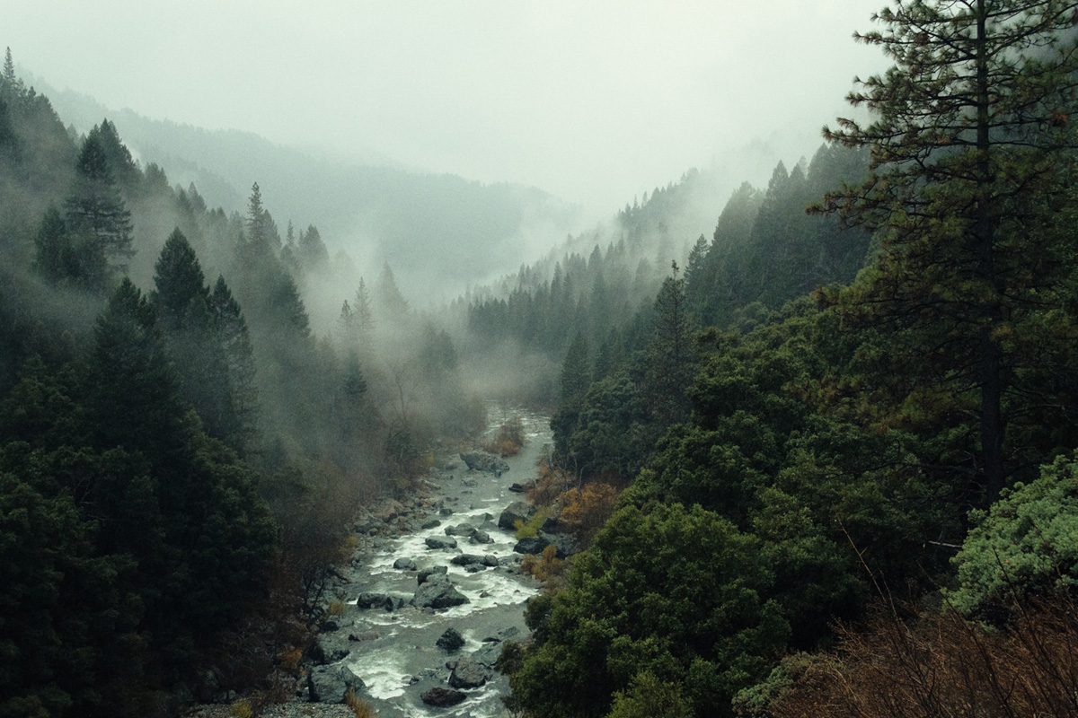 Sinharaja Rainforest